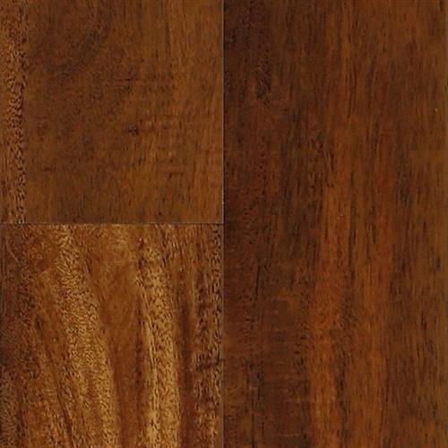 Acacia-Tiger's Eye