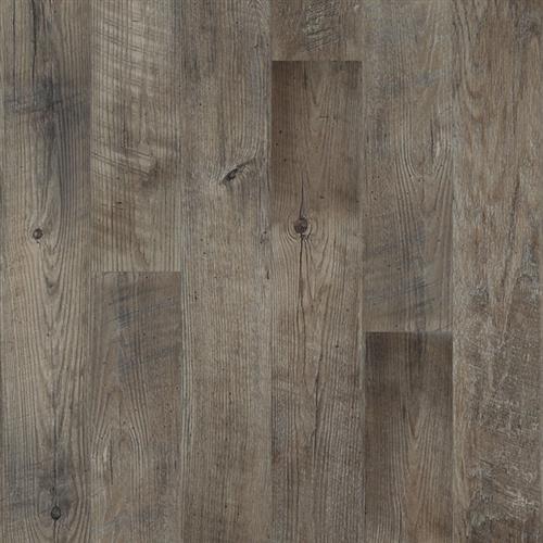 Dockside-Driftwood