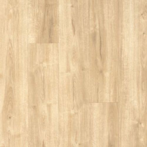 Franklin Bangor 222