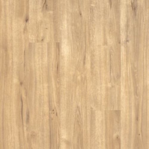 Franklin Joplin 565